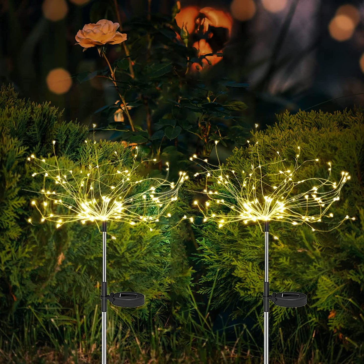 Ziva Solar Garden Lights – Vibrant LED Display for Outdoor Spaces