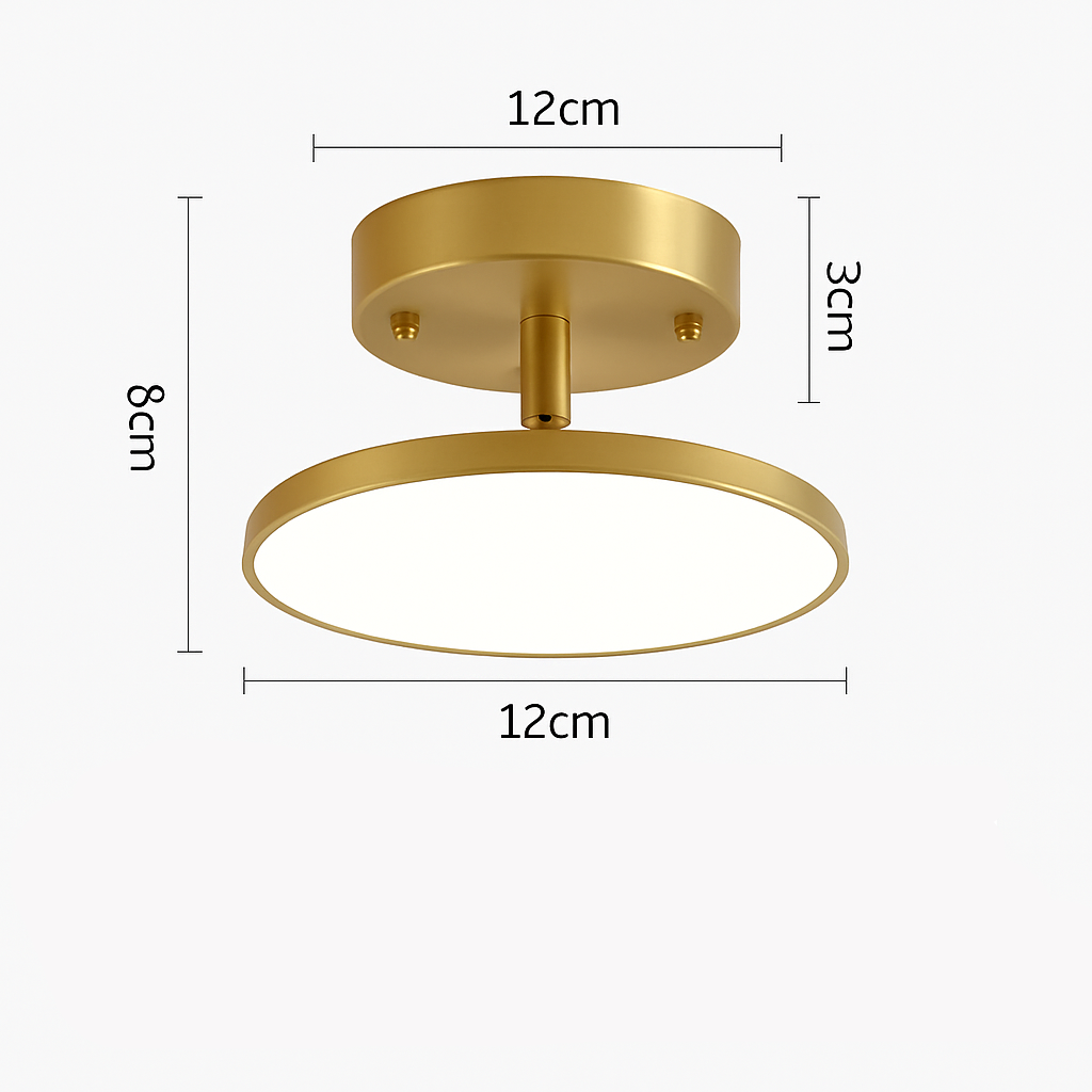 Dahlia Modern LED Ceiling Light Fixture – Rotatable Design for Versatile Illumination