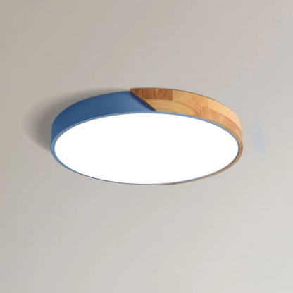 Delos Ceiling Light Fixture – Scandinavian LED Design for Cozy Interiors