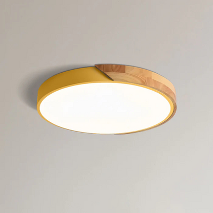 Delos Ceiling Light Fixture – Scandinavian LED Design for Cozy Interiors