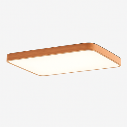 Ravishing Modern Ceiling Light Fixture – Sleek LED Design for Elegant Interiors