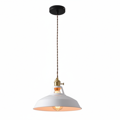 Ivy Industrial Colorful Pendant Light – Vibrant Design for Modern Spaces