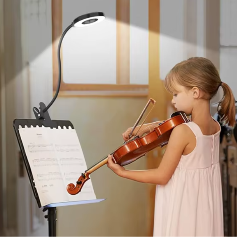 Delyon LED Desk Lamp for Students – Flexible Gooseneck with Adjustable Brightness