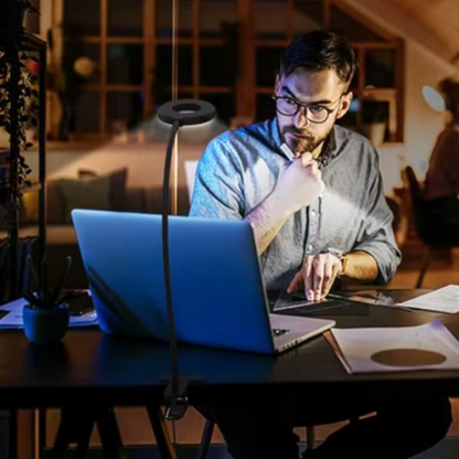 Delyon LED Desk Lamp for Students – Flexible Gooseneck with Adjustable Brightness