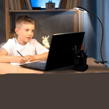 Delyon LED Desk Lamp for Students – Flexible Gooseneck with Adjustable Brightness