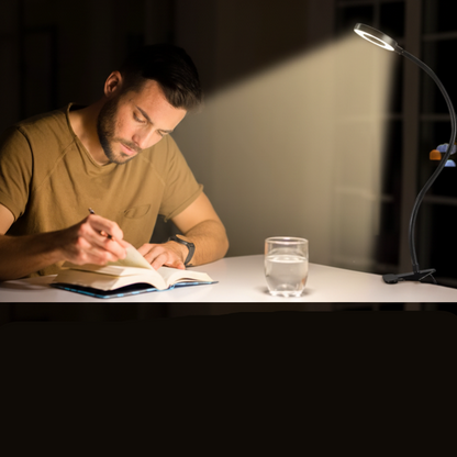 Delyon LED Desk Lamp for Students – Flexible Gooseneck with Adjustable Brightness