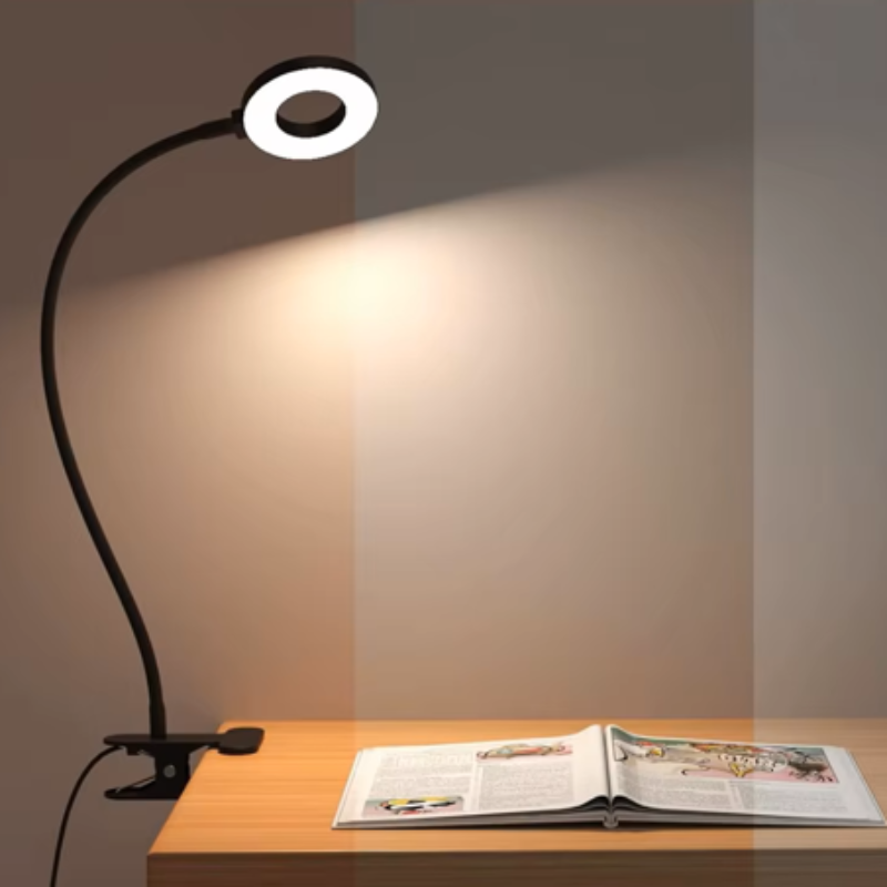 Delyon LED Desk Lamp for Students – Flexible Gooseneck with Adjustable Brightness