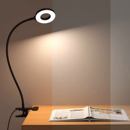Delyon LED Desk Lamp for Students – Flexible Gooseneck with Adjustable Brightness
