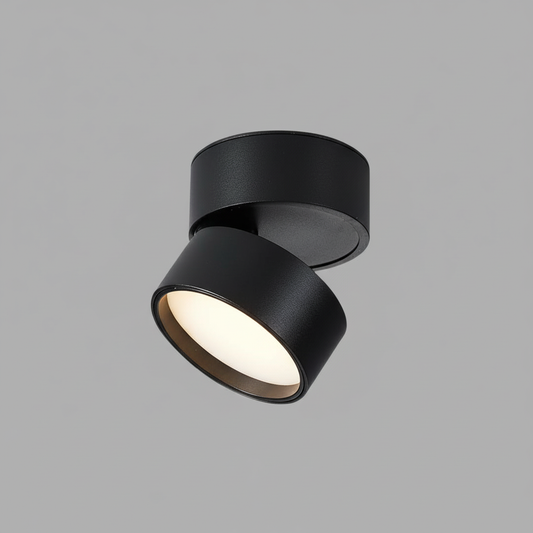 Soma Modern Adjustable LED Ceiling Light – Flexible Lighting for Any Room